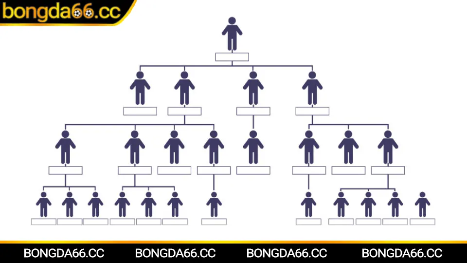 Cấu trúc tổ chức Bongda66 với chuyên gia bóng đá và soi kèo nhà cái chuyên nghiệp