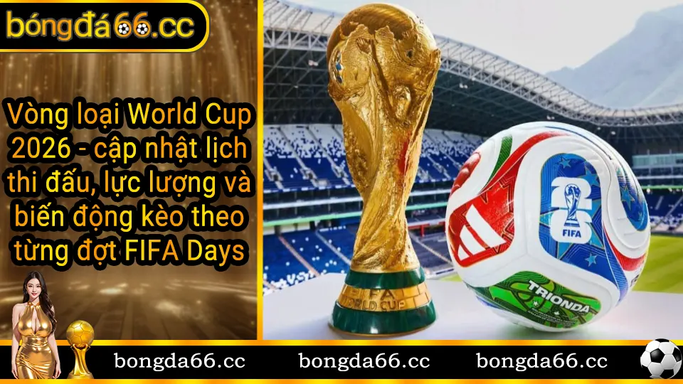Vòng loại World Cup 2026 với lịch thi đấu và thông tin đội tuyển quốc gia