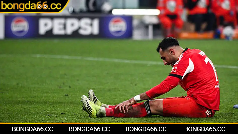 Al Hilal tại AFC Champions League: dữ liệu phong độ và dự đoán kèo