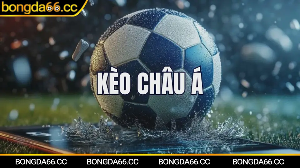 Anderlecht du bao xu huong mua 2025 26 va goi y soi keo bongda66