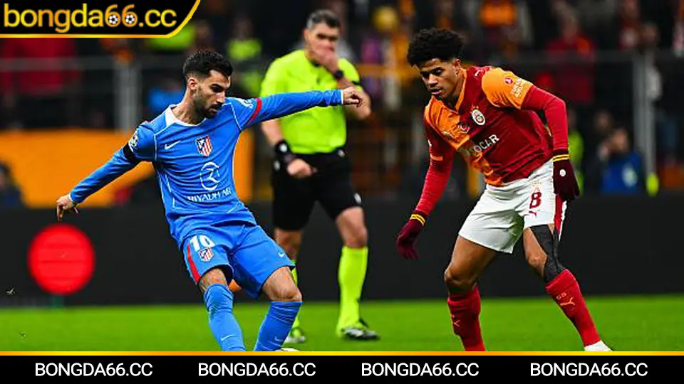 Auckland City kỷ luật chiến thuật và xu hướng kèo nhà cái 2026