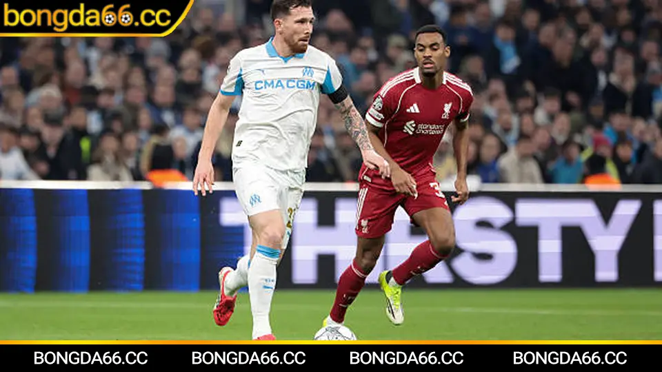 Auckland City thống trị OFC và dấu ấn FIFA Club World Cup