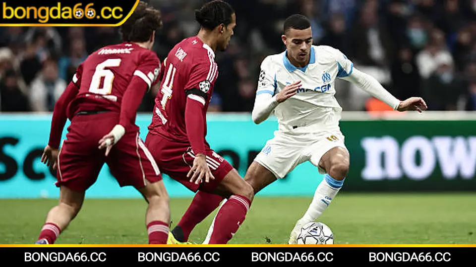 Bà Rịa – Vũng Tàu dự đoán xu hướng kèo và điểm rơi phong độ