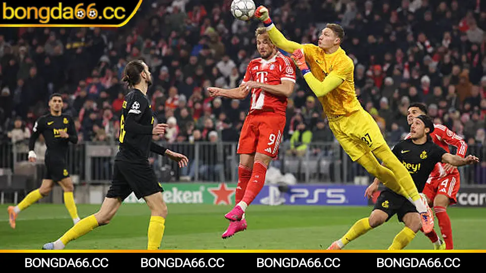 Bongda66 cập nhật BXH Ngoại hạng Anh kèm lịch đấu và tỷ lệ kèo