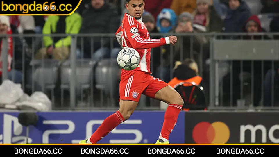 Bongda66 hỗ trợ xem bóng đá trực tiếp với soi kèo và dự đoán trận