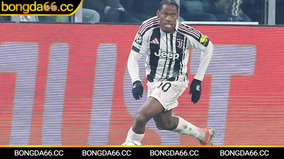 Đội hình Brighton và phân tích kèo Ngoại hạng Anh mùa 2025/26