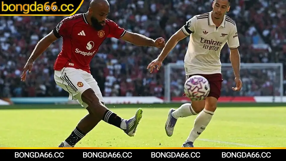 Soi kèo Brighton trên bongda66 với phân tích dữ liệu và dự đoán 2026