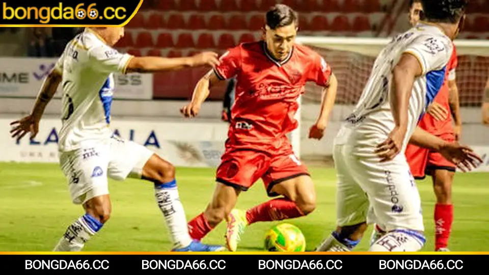 Chelsea đấu với Man Utd: lịch sử đối đầu và nhịp tỷ số kinh điển