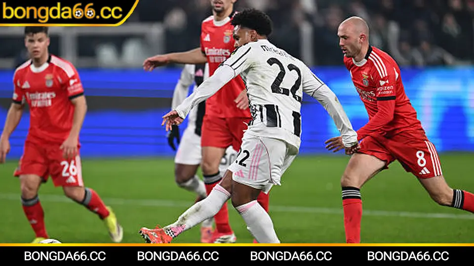 Đá bóng 2026: Nhịp đập đầu năm, dữ liệu kèo biến động và cách đọc trận như dân chuyên