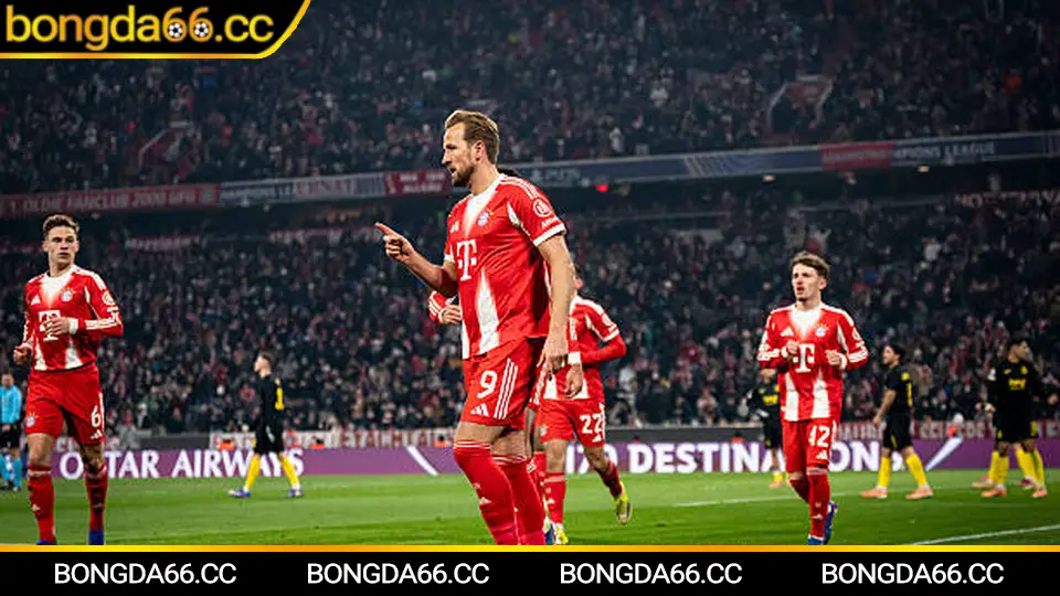 Đọc nhịp trận để soi kèo bóng đá live kèo tài xỉu hiệu quả