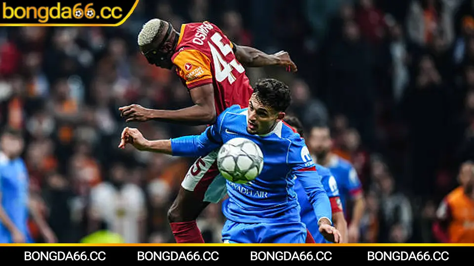 Đội hình Sydney FC và phong độ sân nhà dưới góc kèo châu Á 2026