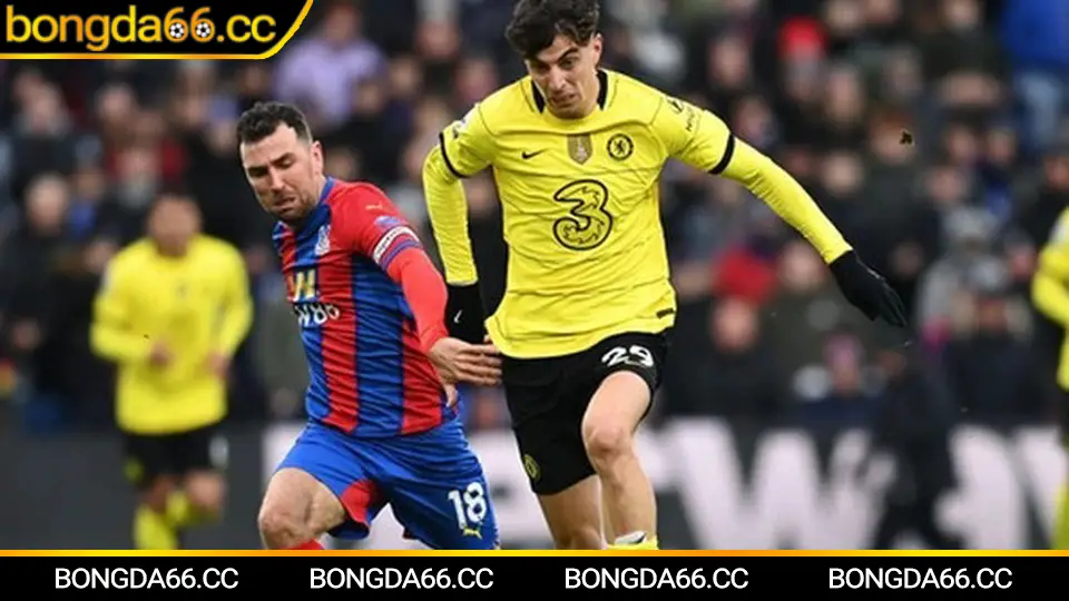 Đội tuyển Việt Nam trong lịch đá bóng Việt Nam tại AFF Cup 2026 với phân tích chiến thuật và dự đoán tỷ số