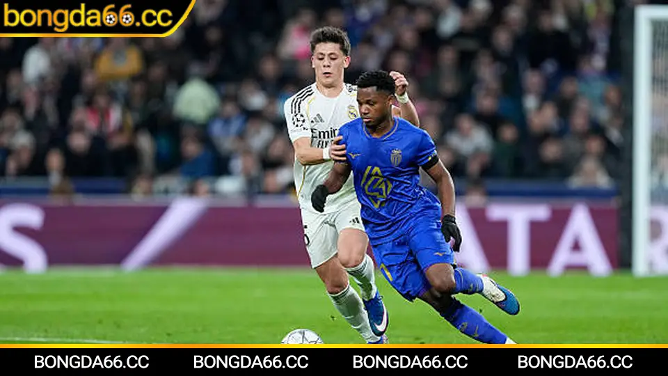 Dự báo Hoàng Anh Gia Lai 2026: xu hướng kèo và điểm số