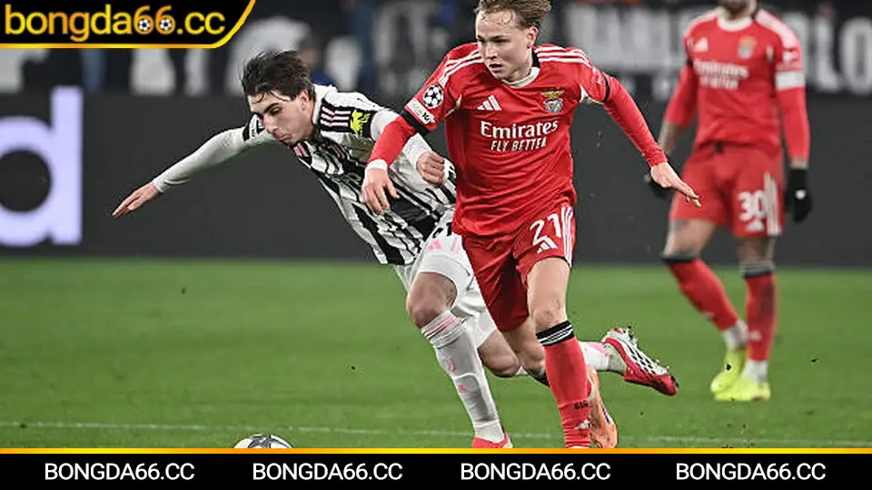 Dự báo Monterrey 2026: xu hướng kèo châu Á và tài xỉu