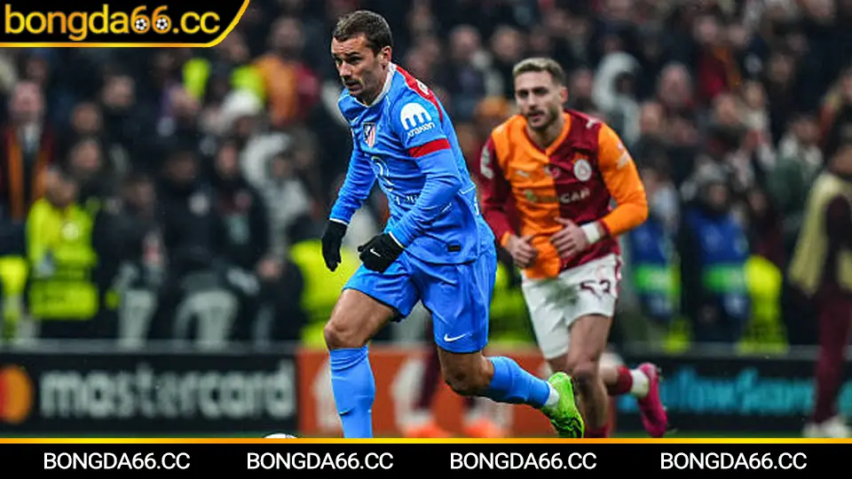 Dự đoán kết quả lịch thi đấu bóng đá Ý 2026 với phân tích đội hình Juventus và Inter Milan