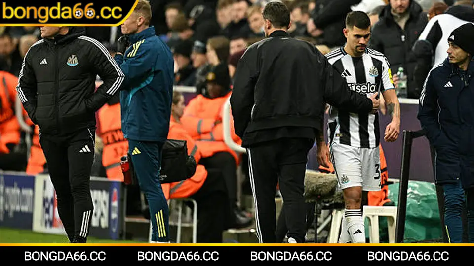 Dự đoán Los Angeles FC mùa 2026: xu hướng kèo chấp và tài xỉu