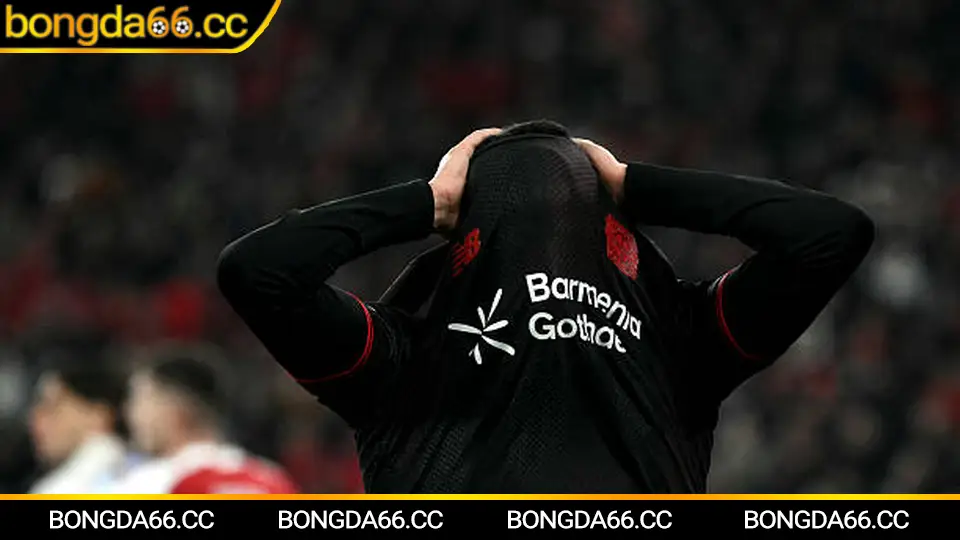 Dự đoán Phú Thọ FC 2026: xu hướng phong độ và chiến lược soi kèo