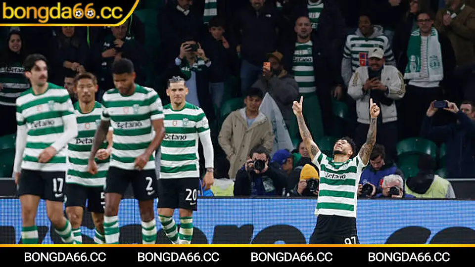 Dự đoán World Cup 2026 trong bóng đá trực tuyến với phân tích xu hướng và mẹo cá cược từ bongda66