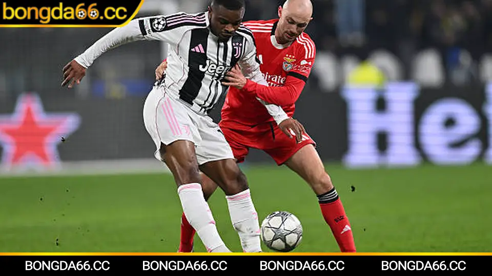 Dự đoán xu hướng bảng xếp hạng bóng đá Ngoại hạng Anh 2025/2026 từ Bongda66