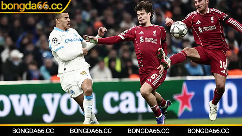 Santos: Từ “cái nôi bóng đá Brazil” đến hành trình tái thiết và cơ hội kèo sáng