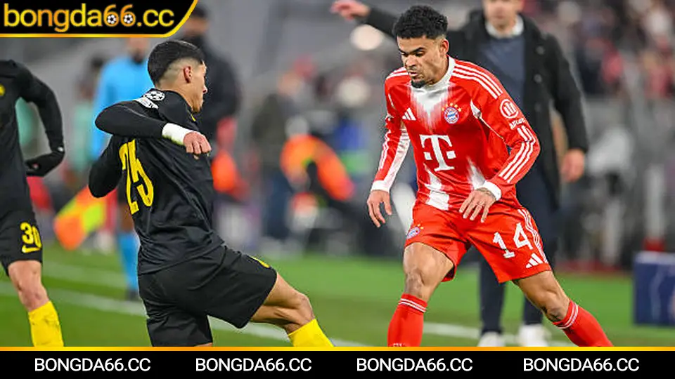 Juventus tại Allianz Stadium: phân tích phong độ và kèo nhà cái