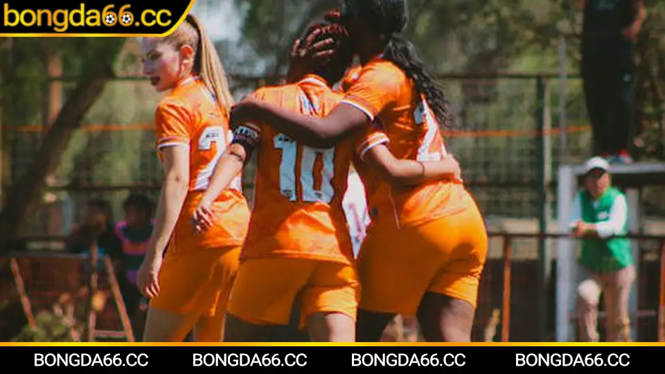 Phân tích kết quả bóng đá Ý theo kèo châu Á và tài xỉu mùa 2025/26