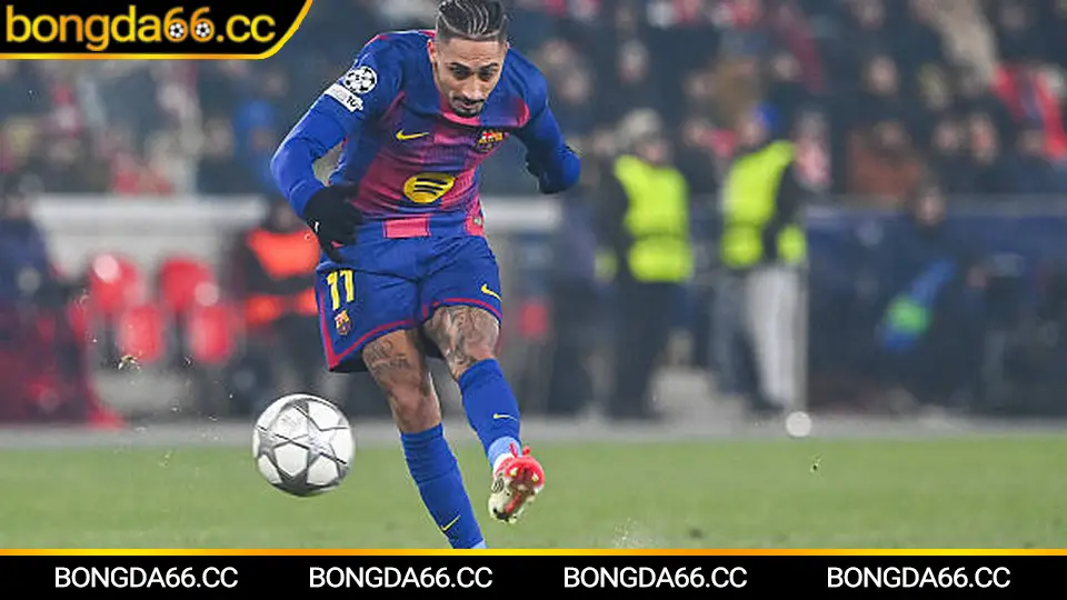 Kinh nghiệm soi kèo bóng đá Ý Serie A an toàn trên bongda66