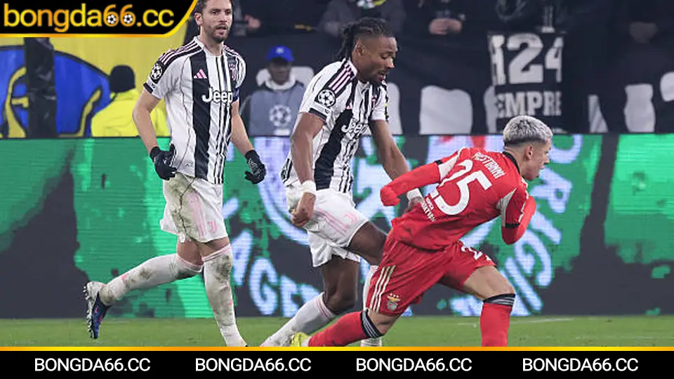 Lịch đá bóng hôm nay 29/01/2026 theo khung giờ vàng VN