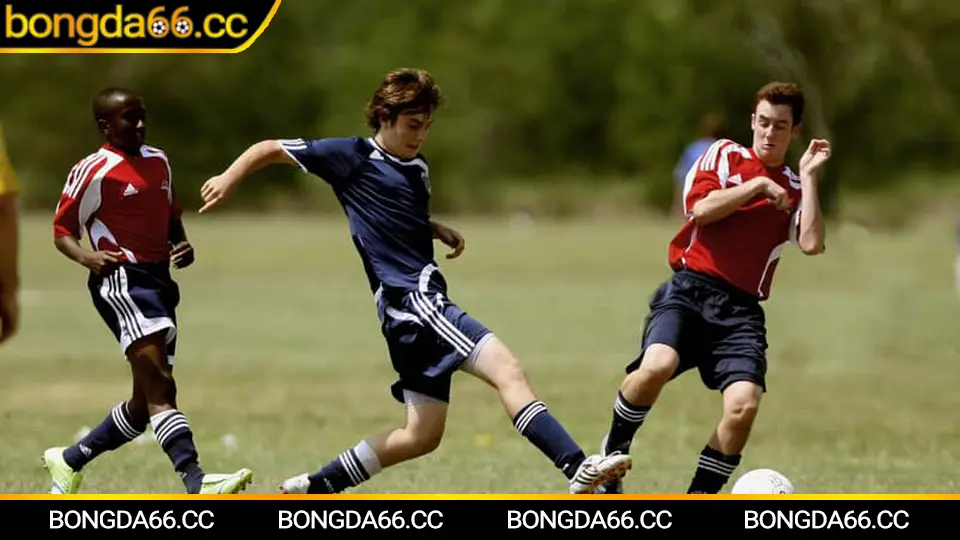 Lịch thi đấu bóng đá hôm nay theo khung giờ Việt Nam chuẩn