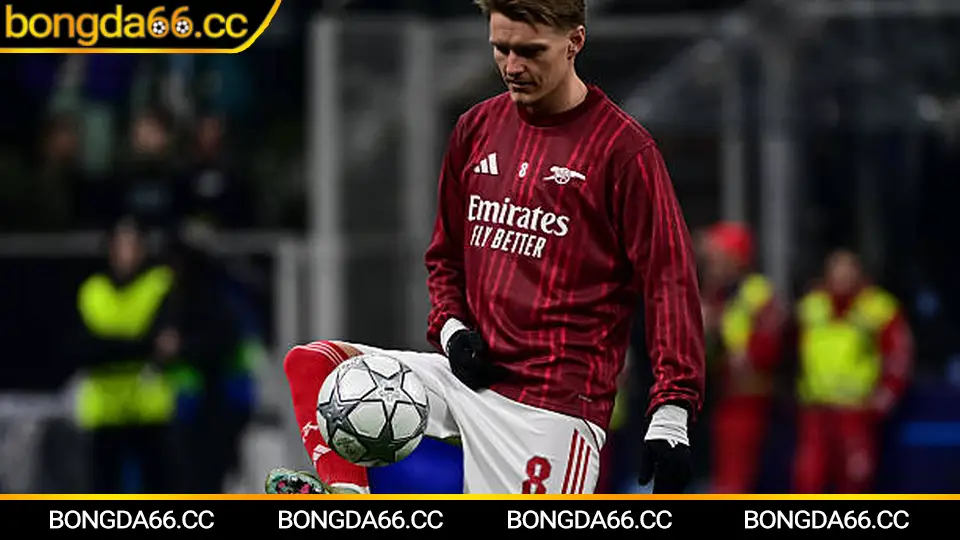 Lịch thi đấu bóng đá Việt Nam hôm nay V.League: theo dõi kèo và tỷ lệ