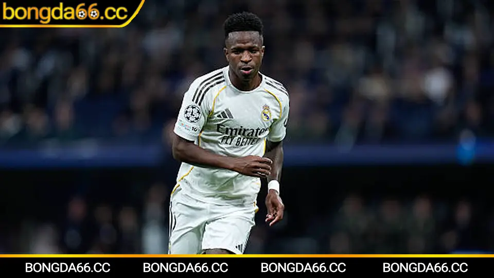 Lịch thi đấu bóng đá vòng loại World Cup 2026 và nhịp FIFA