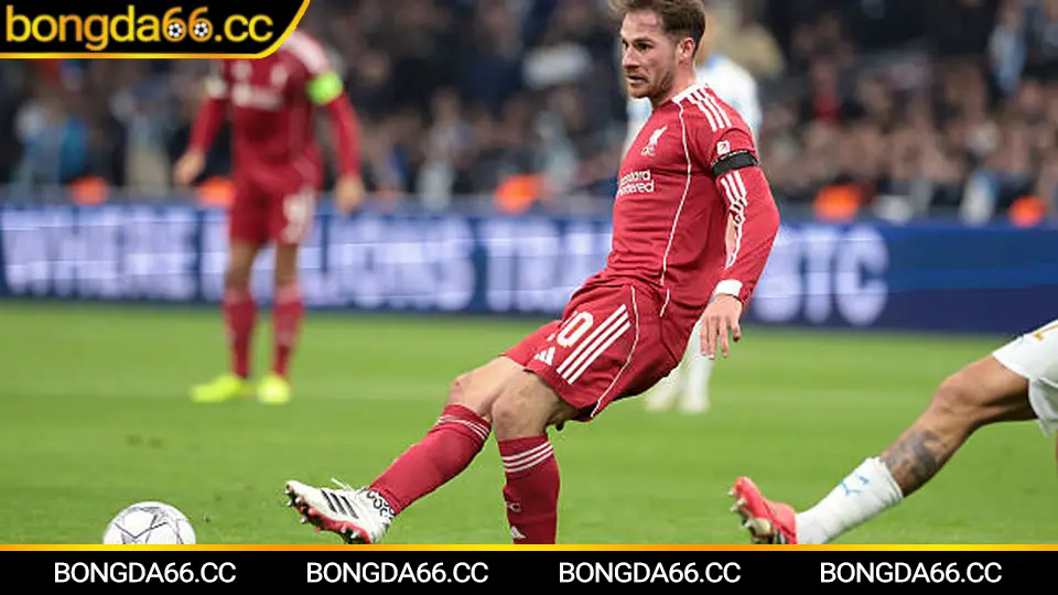 Lịch thi đấu đá bóng đầu năm và yếu tố thể lực khi soi kèo nhà cái