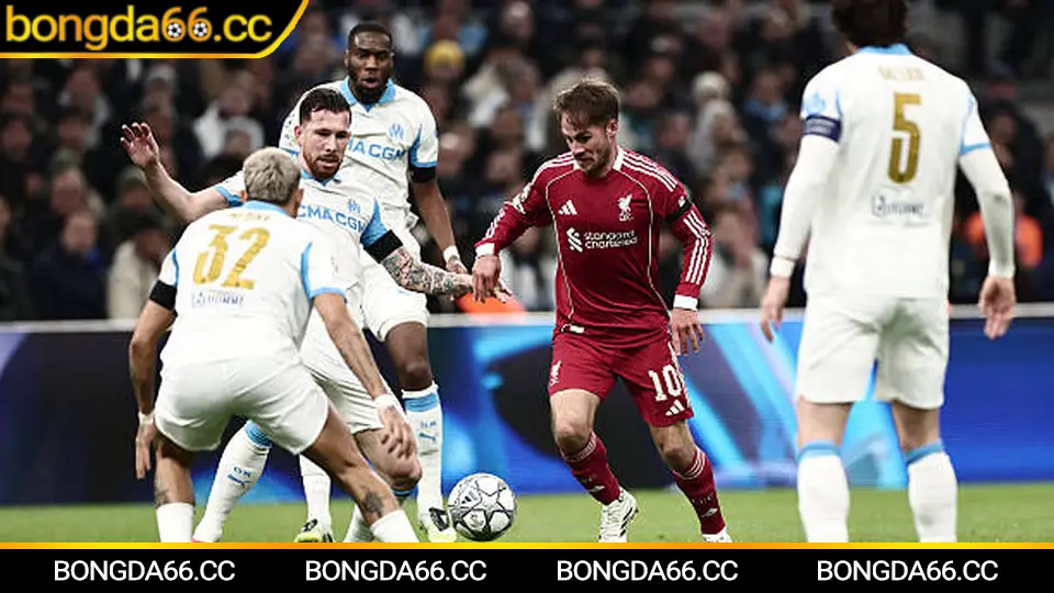 Lịch thi đấu MU 2026: Cập nhật nhanh, soi lịch đấu Manchester United để bắt kèo chuẩn