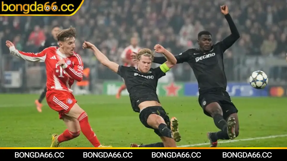 Mẹo cá cược đá bóng hiệu quả với phân tích tỷ số và chiến lược từ chuyên gia