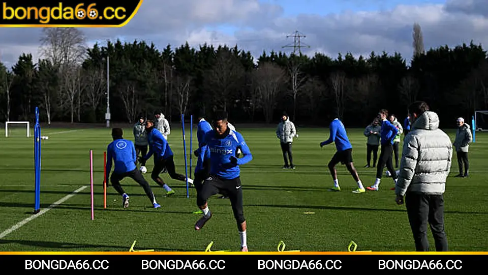 Mẹo cá cược hiệu quả cho lịch thi đấu bóng đá hôm nay từ chuyên gia Bongda66