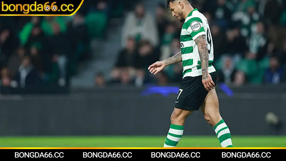 Mẹo đọc bảng xếp hạng Serie A để soi kèo châu Á và tài xỉu chuẩn