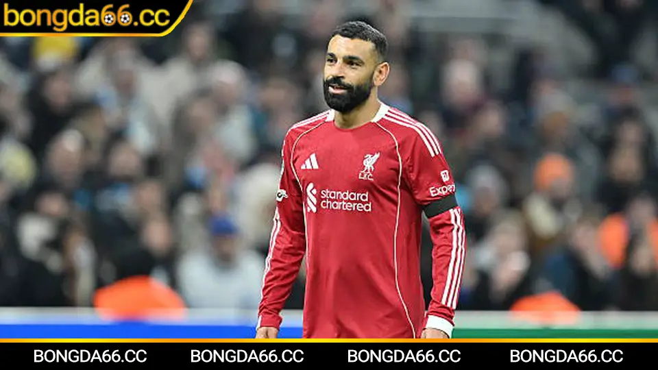 Xem bóng đá trực tiếp 2026: Cuộc đua phát sóng, trải nghiệm người xem và “đọc kèo” thông minh cùng bongda66