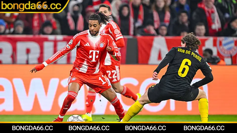 Napoli 2026: Bản sắc Napoli, hành trình thăng trầm và góc nhìn kèo nhà cái đáng đọc tại bongda66