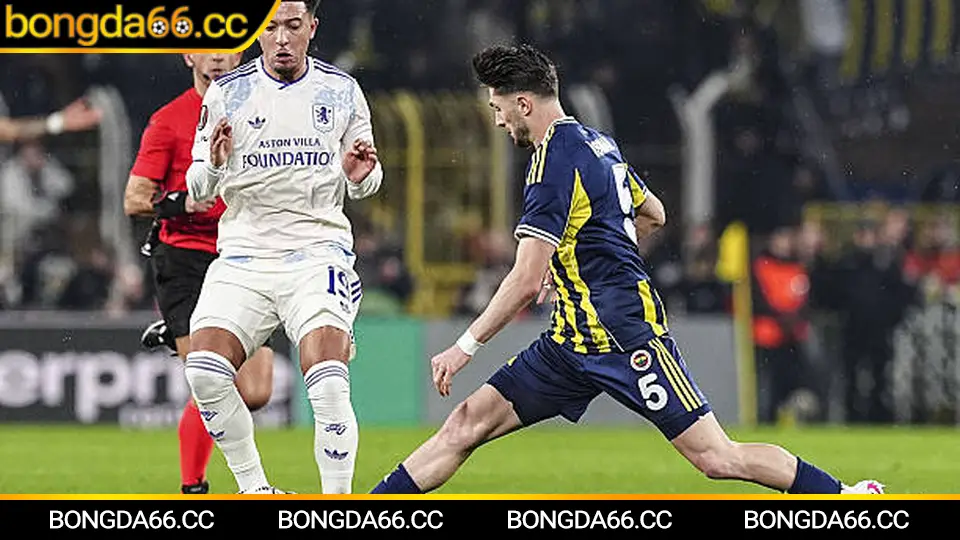 Theo dõi Napoli trên bongda66: lịch thi đấu, kèo và nhận định