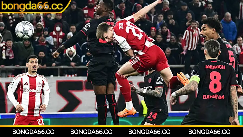 Nhận định bóng đá theo kèo châu Á, tài xỉu và biến động kèo chạy