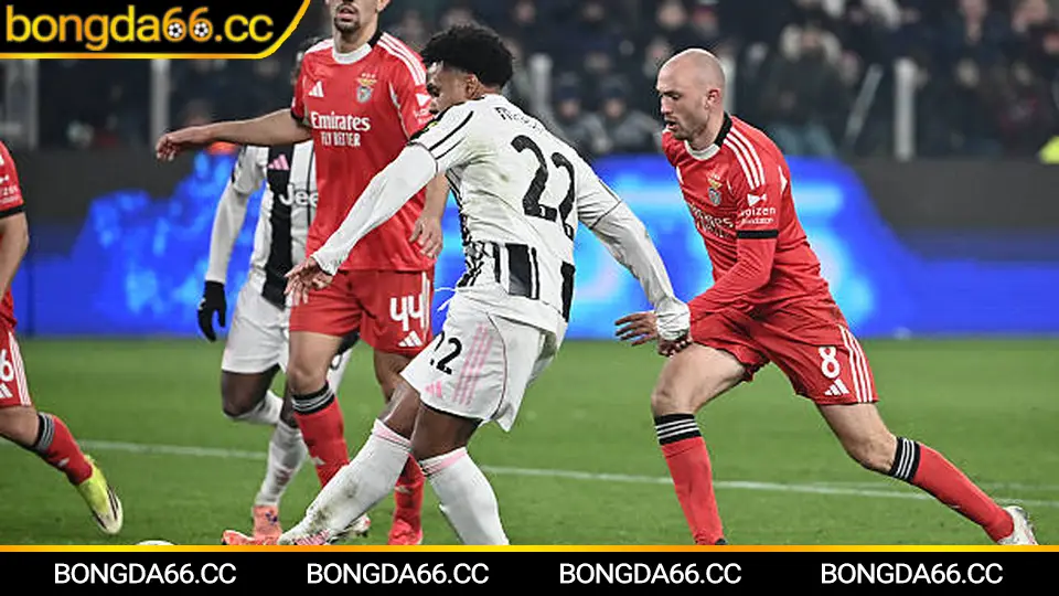 Nhận định bóng đá nét: đọc kèo qua biến động tỷ số chuẩn xác