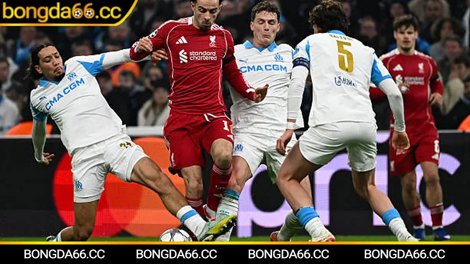 Nhận định bóng đá nét dựa dữ liệu phong độ và biến động kèo