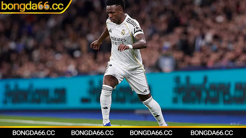 Phân tích Hoàng Anh Gia Lai: chuyển trạng thái và tổ chức pressing