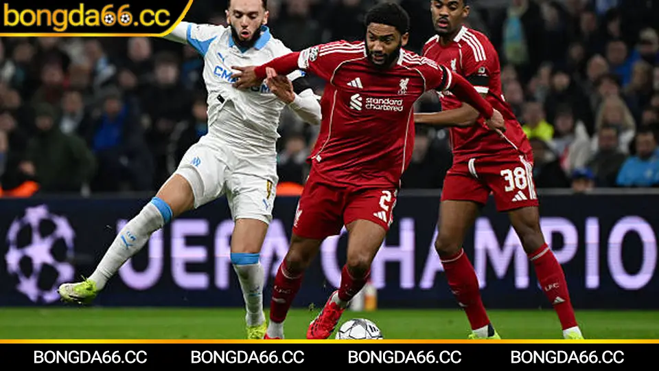 Phân tích chiến thuật TopenLand Bình Định và các kèo V-League