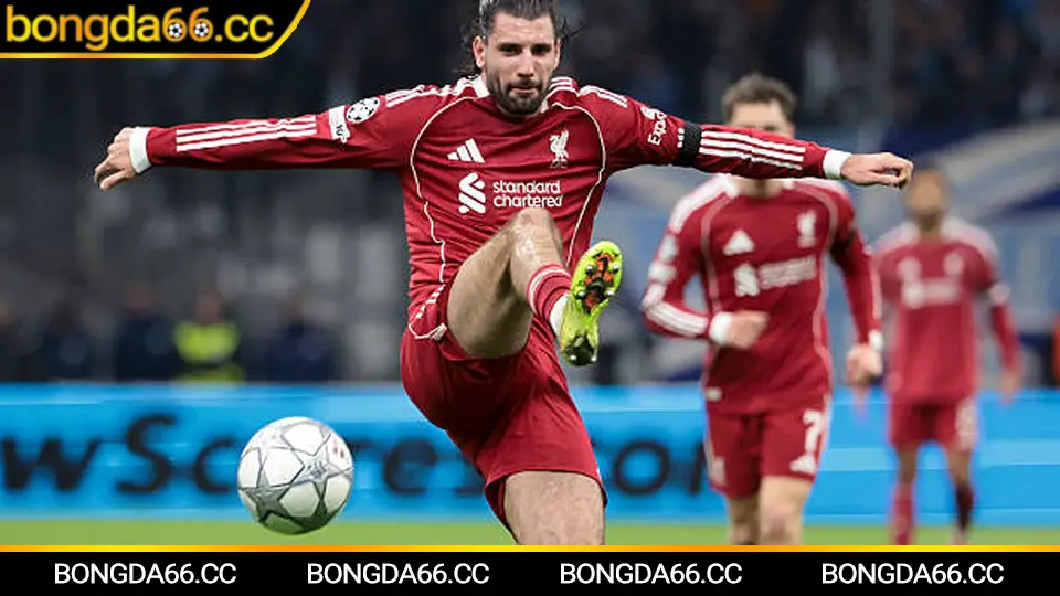 Phân tích kèo Viettel FC trước trận với tỷ lệ và xu hướng phong độ