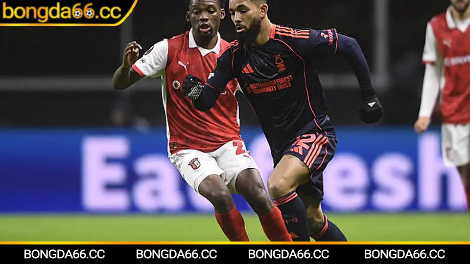 Phân tích Porto theo kèo phạt góc và thẻ phạt mùa giải mới