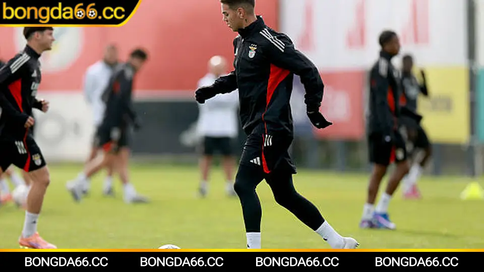 Phân tích lịch sử trận Manchester City vs Arsenal trong lịch bóng đá hôm nay