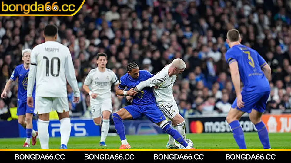 Shakhtar Donetsk: Bản lĩnh châu Âu, “mỏ vàng” đào tạo và góc nhìn kèo nhà cái mùa 2025/26