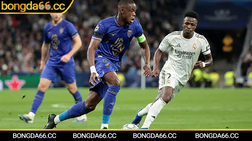 Atletico Mineiro: Bản sắc “Galo” từ lịch sử huy hoàng đến xu hướng kèo đáng theo dõi 2026