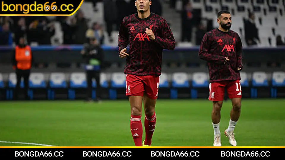 Soi kèo Auckland City bằng dữ liệu phong độ và tỷ lệ nhà cái